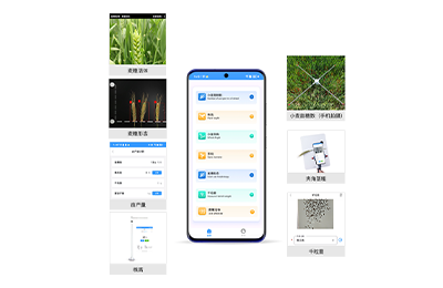荆门市小麦表型检测仪IN-XM04